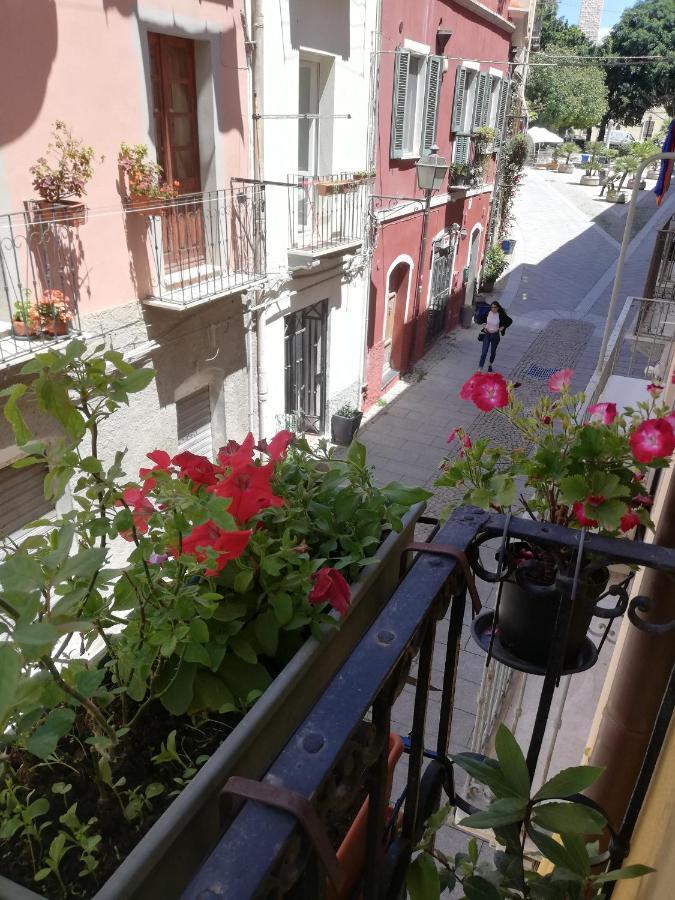 Bubibi Apartamento